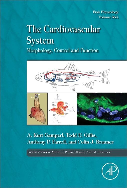 Produktbild: The Cardiovascular System