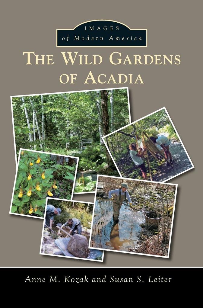 Produktbild: The Wild Gardens of Acadia | Anne M Kozak, Susan S Leiter