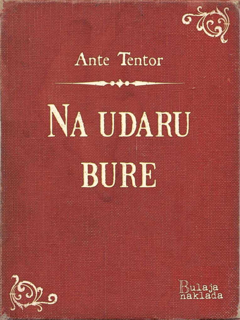 Produktbild: Na udaru bure | Ante Tentor