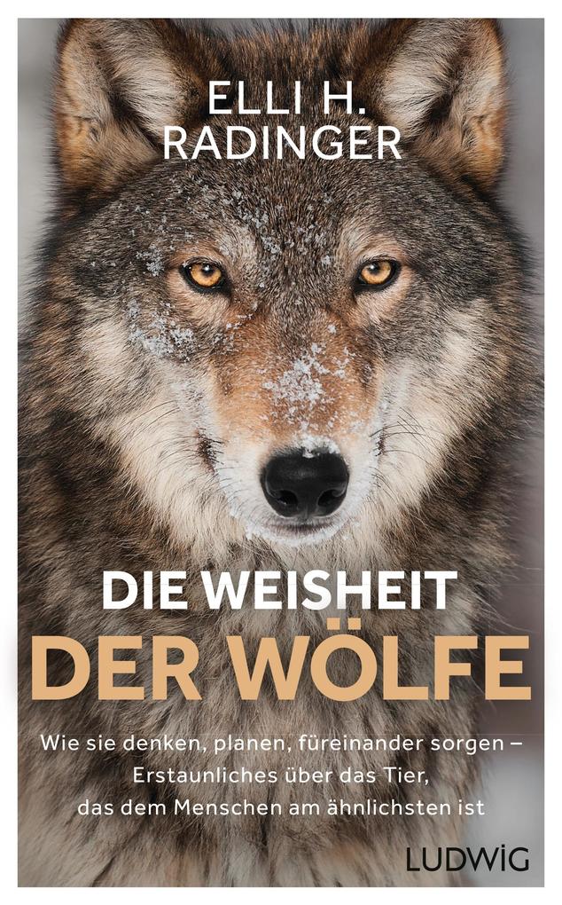 Produktbild: Die Weisheit der Wölfe | Elli H. Radinger