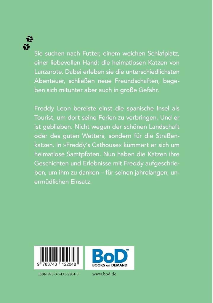 Weitere Ansicht: Katzengeschichten aus Lanzarote | Freddy Leon