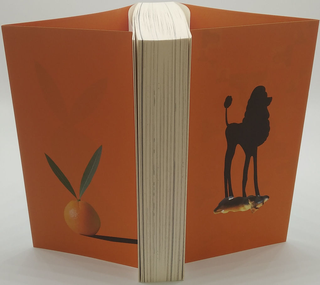 Weitere Ansicht: Anders sehen | Beau Lotto