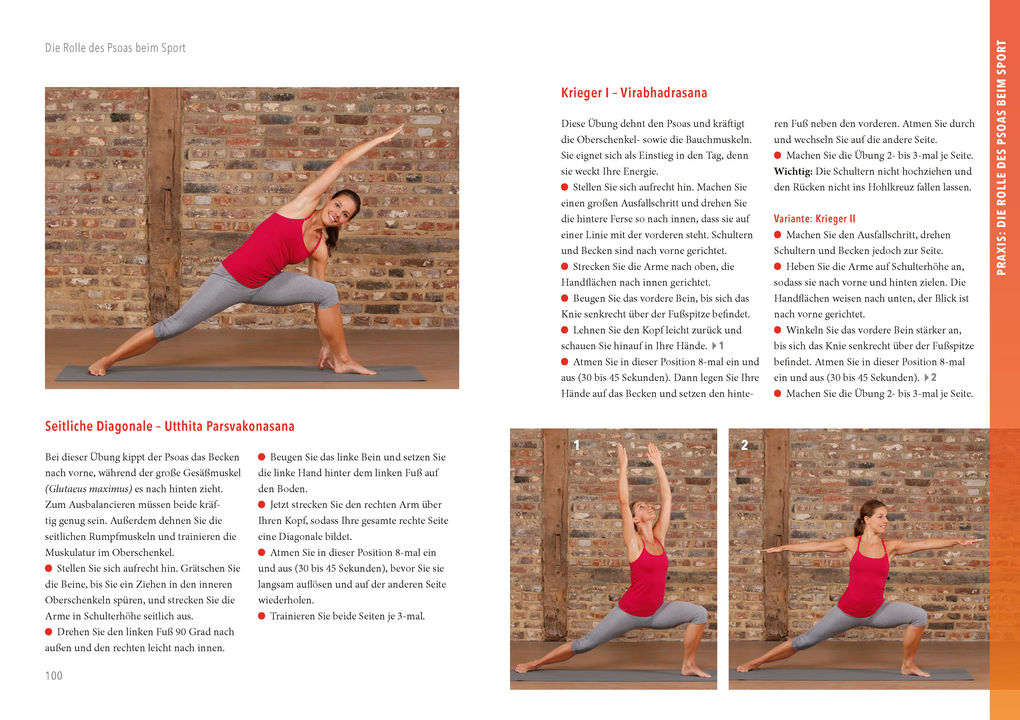 Weitere Ansicht: Das neue Psoas-Training | Ingo Froböse, Ulrike Schöber