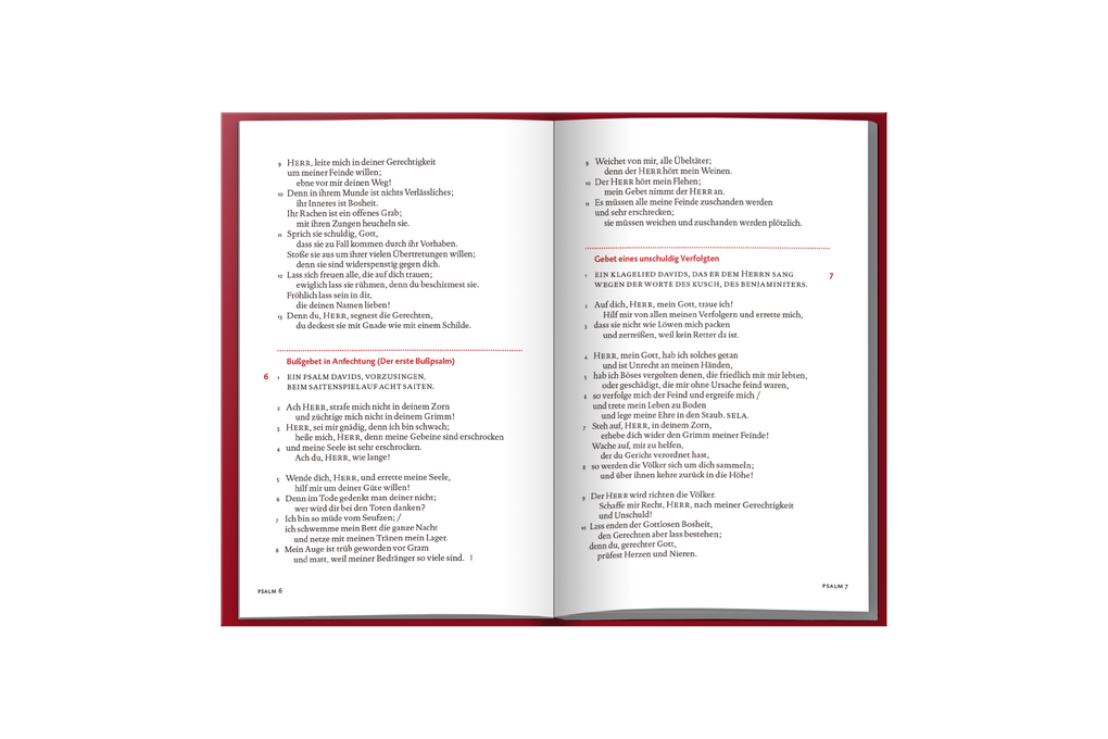 Weitere Ansicht: Der Psalter