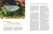 Weitere Ansicht: Praxishandbuch Aquarium | Ulrich Schliewen