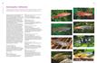 Weitere Ansicht: Praxishandbuch Aquarium | Ulrich Schliewen