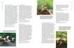 Weitere Ansicht: Praxishandbuch Aquarium | Ulrich Schliewen