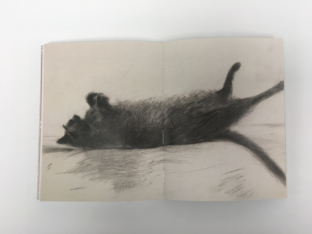 Weitere Ansicht: Katzen in der Kunst | Angus Hyland, Caroline Roberts