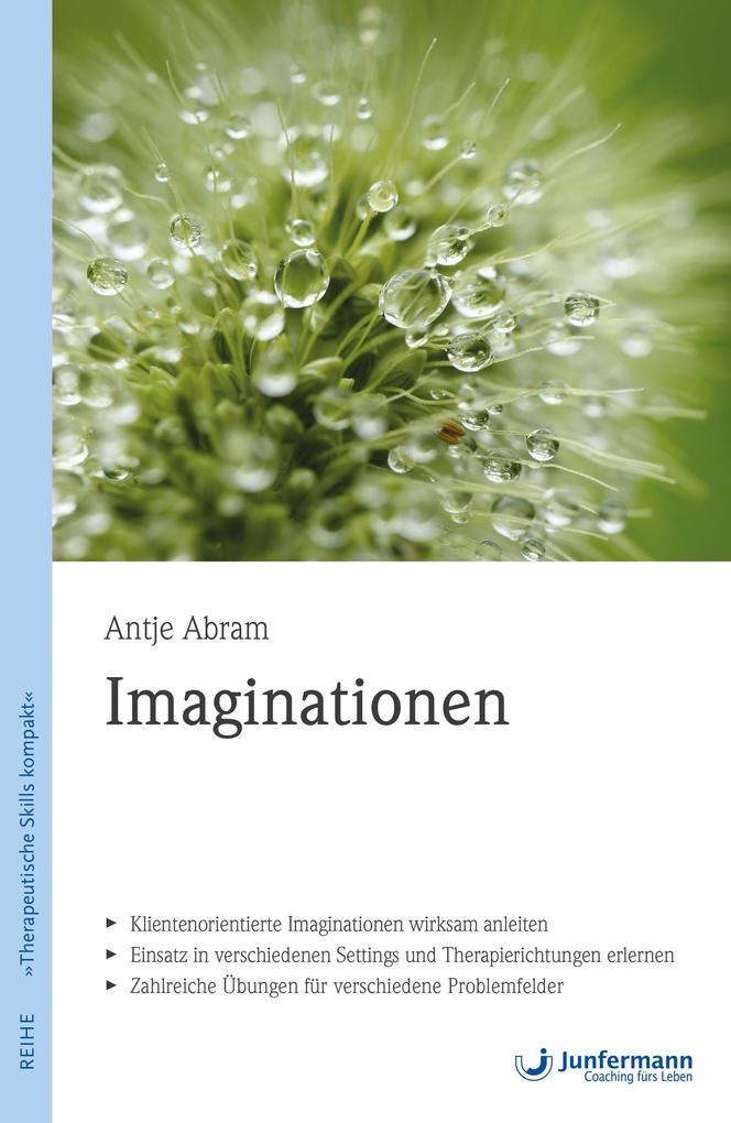 Produktbild: Imaginationen | Antje Abram