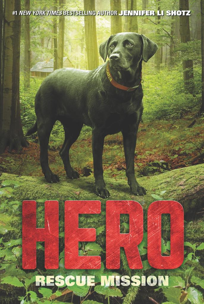 Produktbild: Hero: Rescue Mission | Jennifer Li Shotz