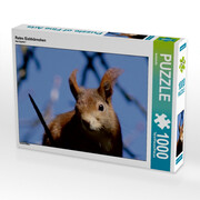 Rotes Eichhörnchen (Puzzle)