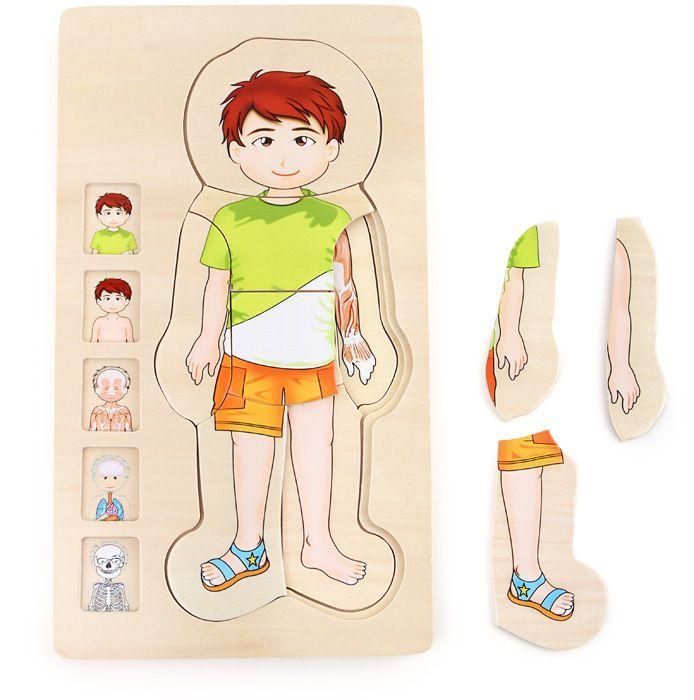Weitere Ansicht: Schichtenpuzzle Anatomie Junge | small foot