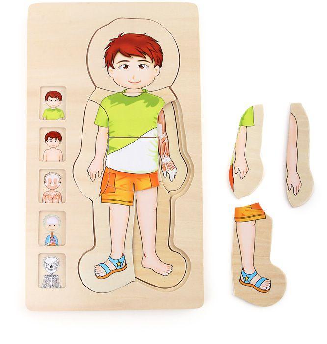 Weitere Ansicht: Schichtenpuzzle Anatomie Junge | small foot