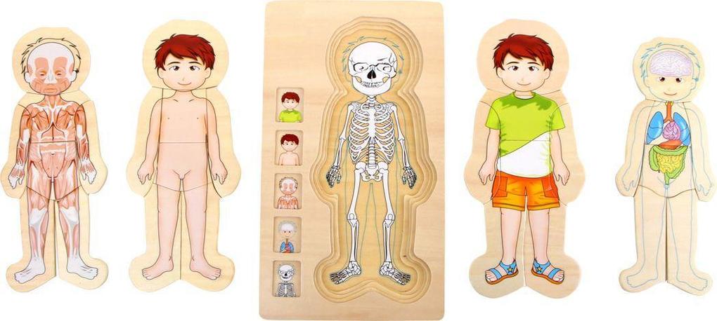 Weitere Ansicht: Schichtenpuzzle Anatomie Junge | small foot