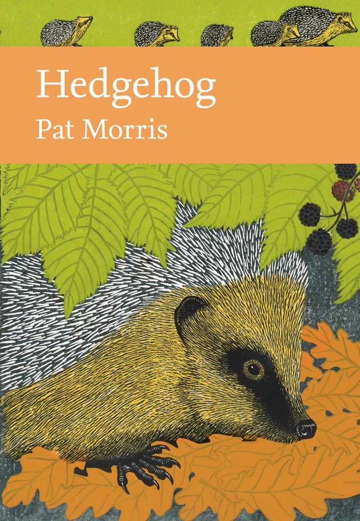Produktbild: Hedgehog | Pat Morris