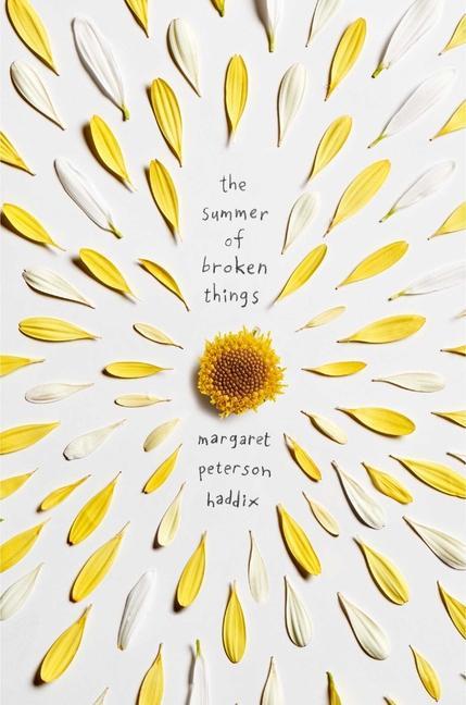 Produktbild: The Summer of Broken Things | Margaret Peterson Haddix