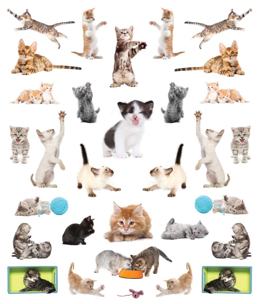 Weitere Ansicht: Eyelike Stickers: Kittens
