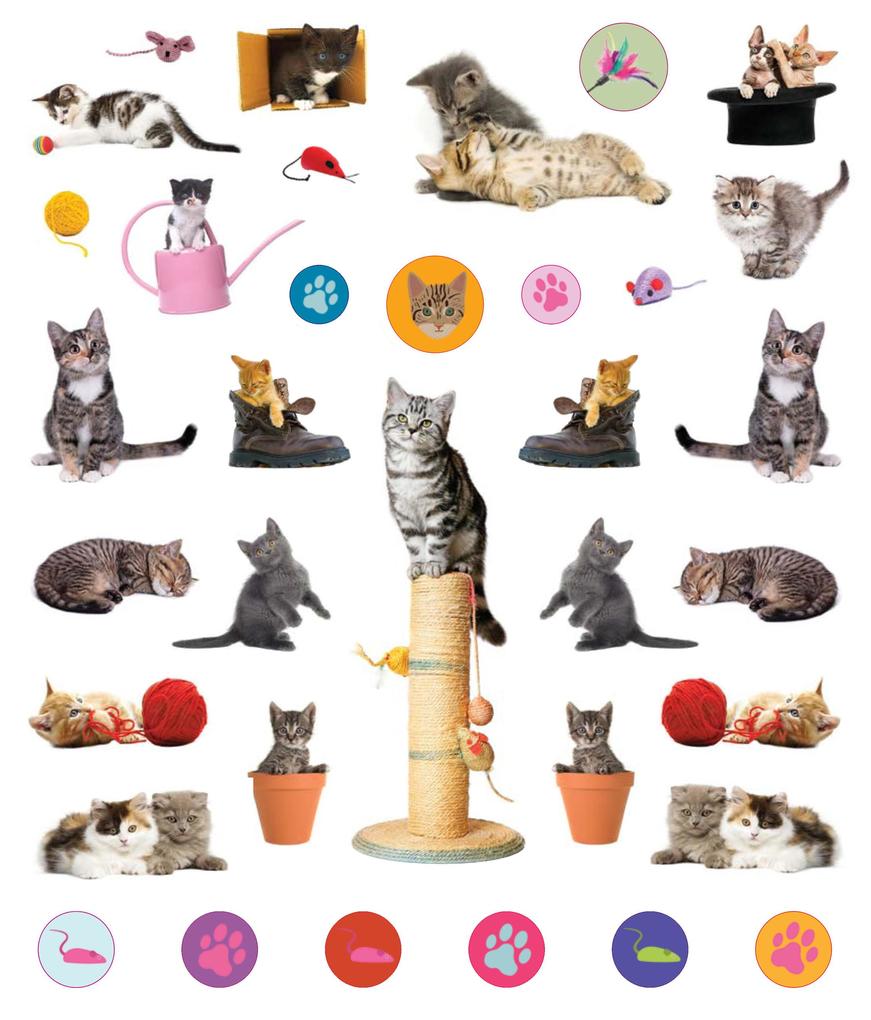 Weitere Ansicht: Eyelike Stickers: Kittens