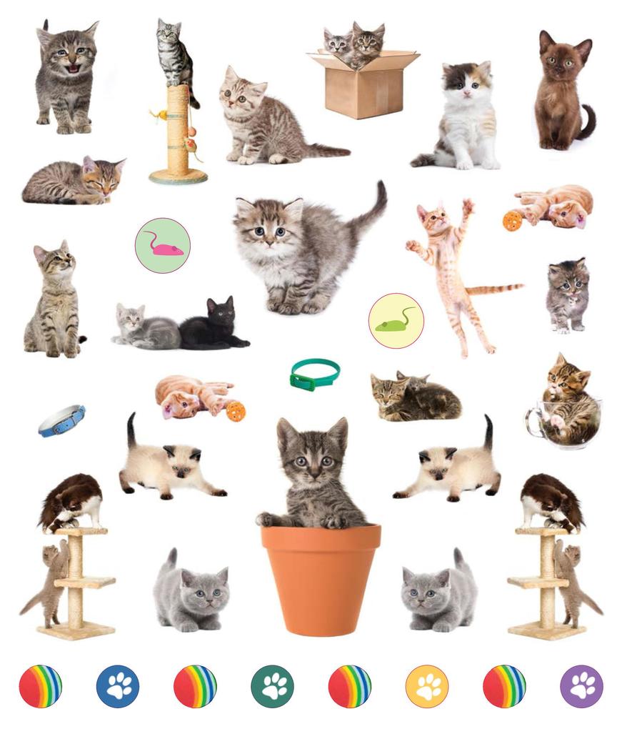 Weitere Ansicht: Eyelike Stickers: Kittens