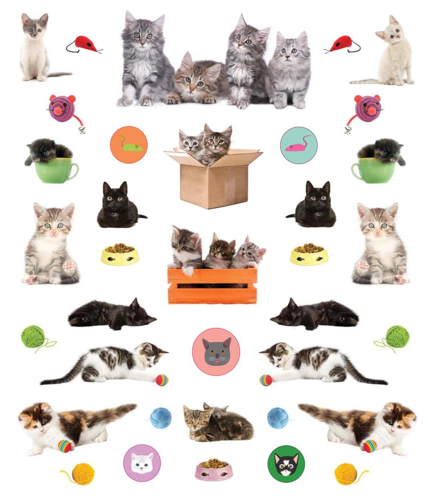 Weitere Ansicht: Eyelike Stickers: Kittens