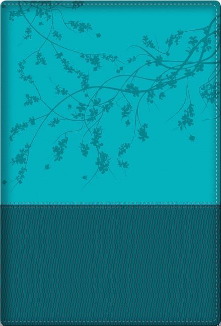 Produktbild: A Woman After God's Own Heart Bible