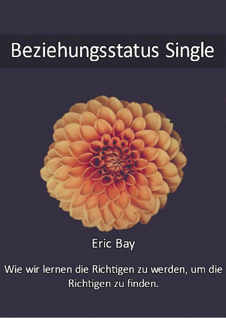 Produktbild: Beziehungsstatus Single | Eric Bay