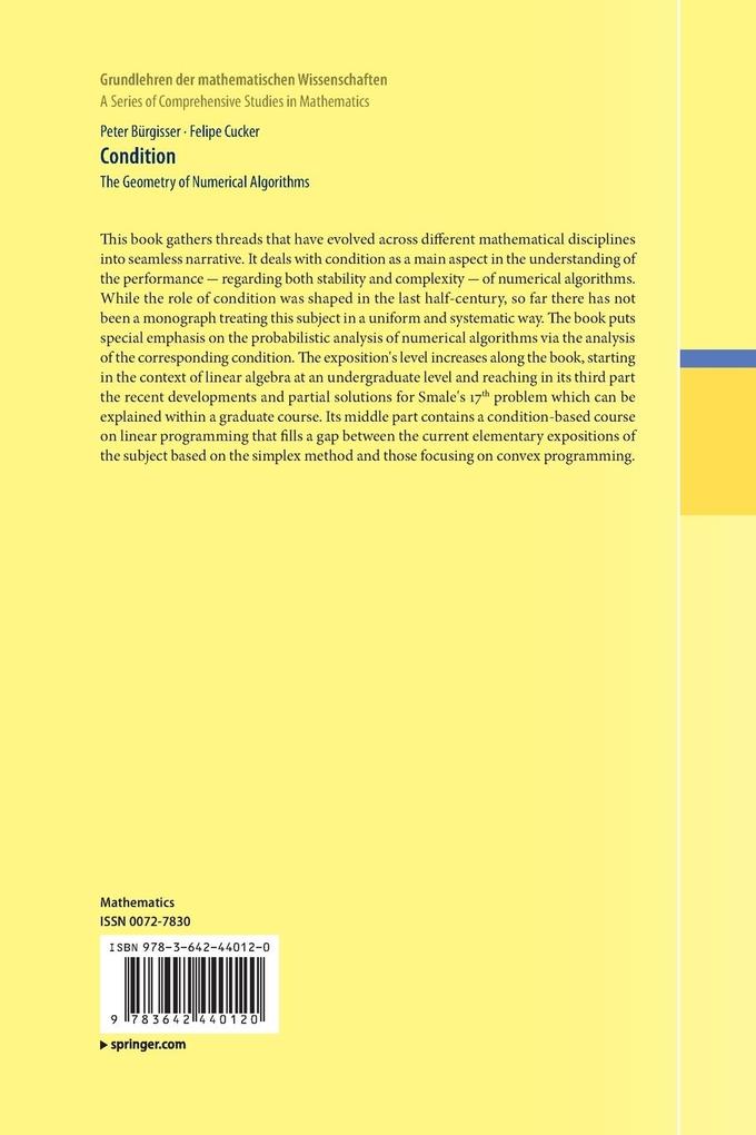 Weitere Ansicht: Condition | Peter Bürgisser, Felipe Cucker