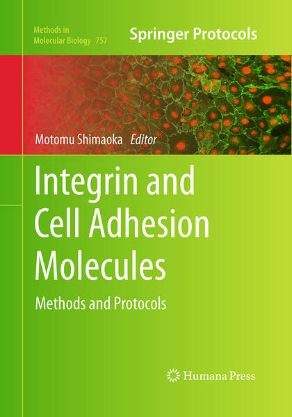 Produktbild: Integrin and Cell Adhesion Molecules