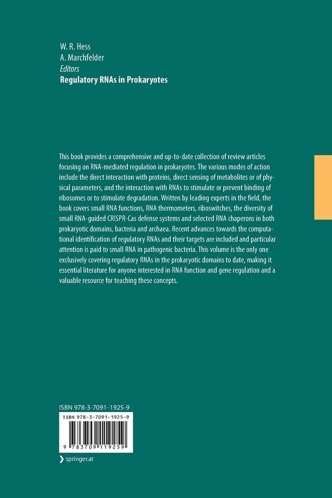 Weitere Ansicht: Regulatory RNAs in Prokaryotes