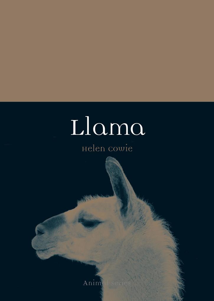 Produktbild: Llama | Cowie Helen Cowie
