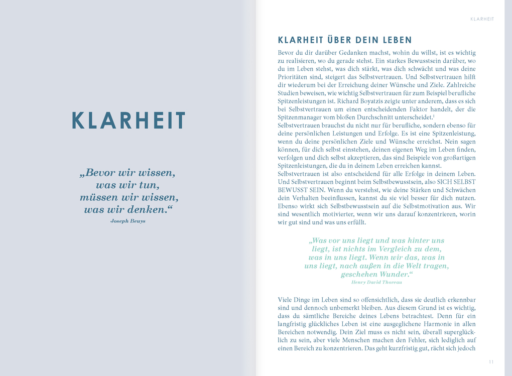Weitere Ansicht: THE NEW YOU (mint) - Das Buch, das dein Leben verändert. | Iris Reiche