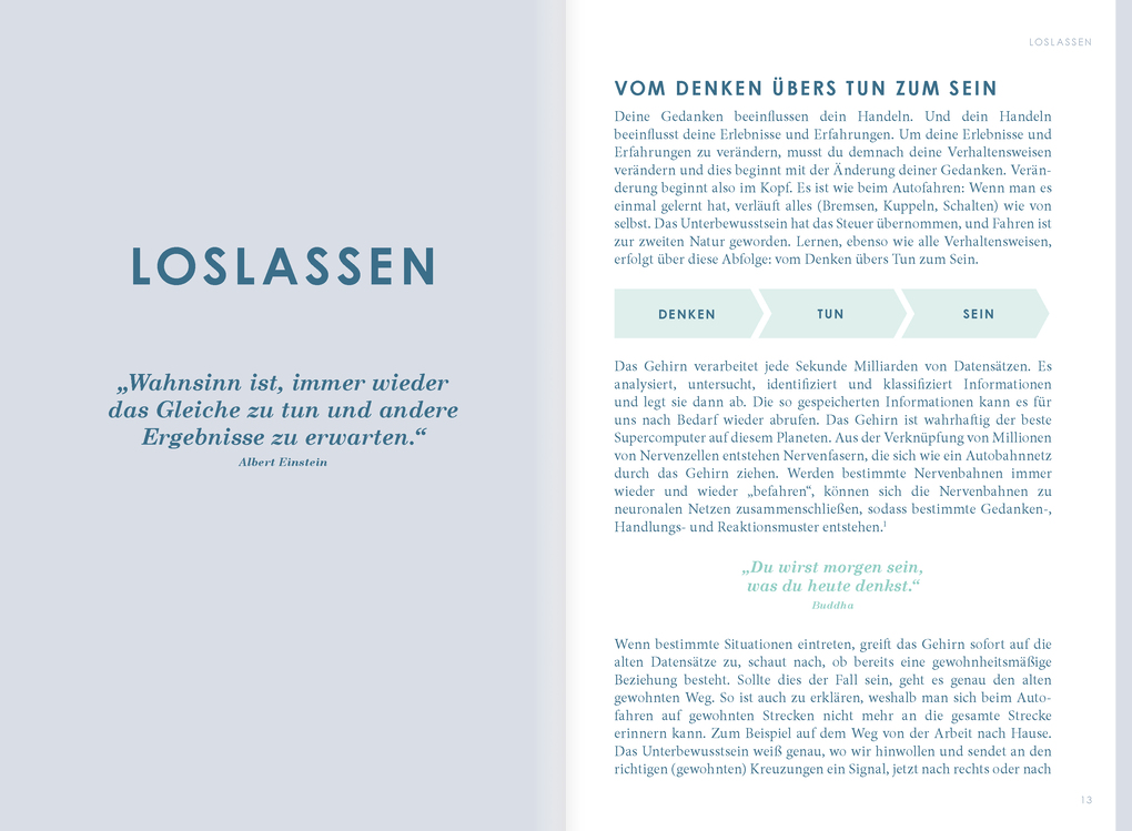 Weitere Ansicht: THE NEW YOU (mint) - Das Buch, das dein Leben verändert. | Iris Reiche