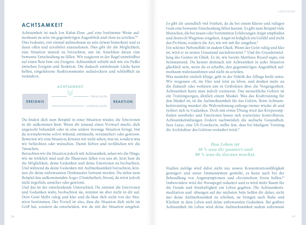 Weitere Ansicht: THE NEW YOU (mint) - Das Buch, das dein Leben verändert. | Iris Reiche