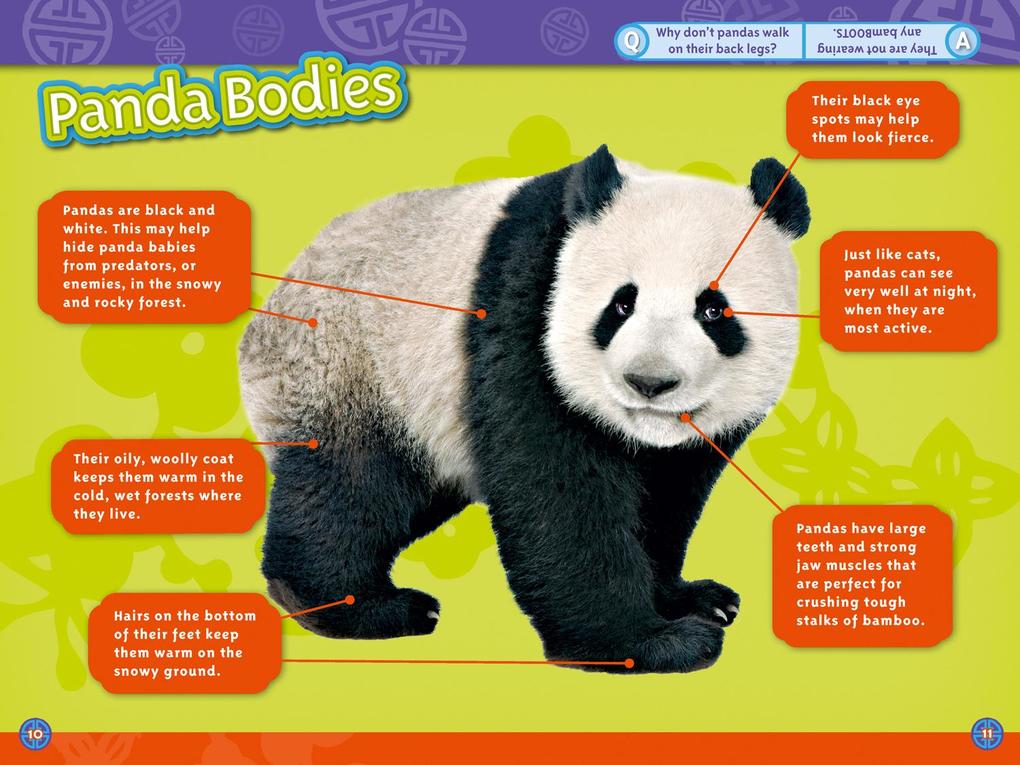Weitere Ansicht: Pandas | Anne Schreiber, National Geographic Kids