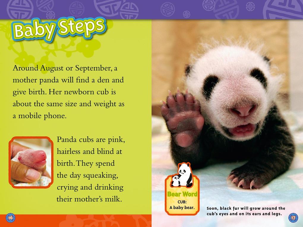 Weitere Ansicht: Pandas | Anne Schreiber, National Geographic Kids