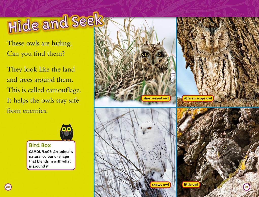 Weitere Ansicht: Owls | Laura Marsh, National National Geographic Kids