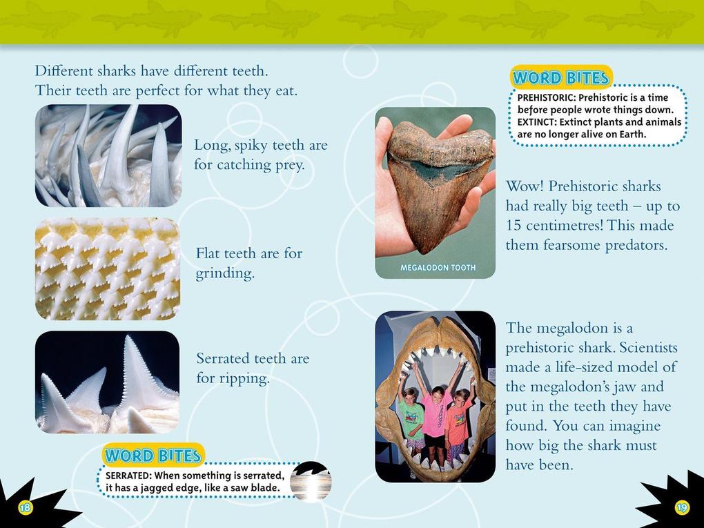 Weitere Ansicht: Sharks | Anne Schreiber, National Geographic Kids