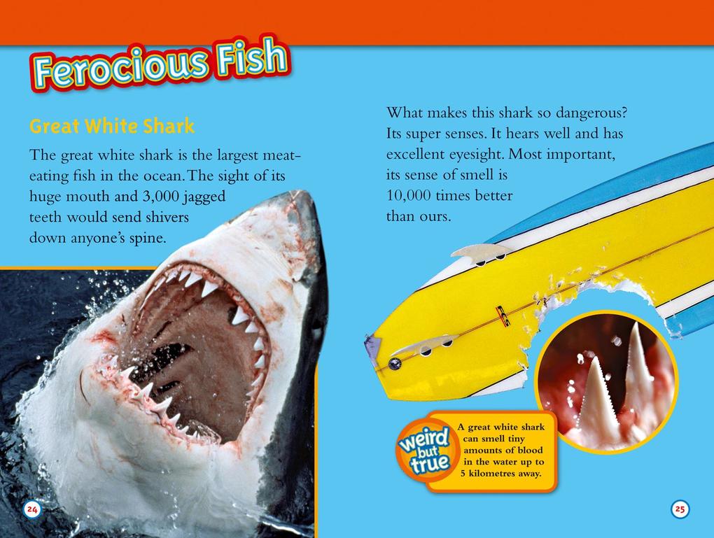 Weitere Ansicht: Deadliest Animals | Melissa Stewart, National Geographic Kids