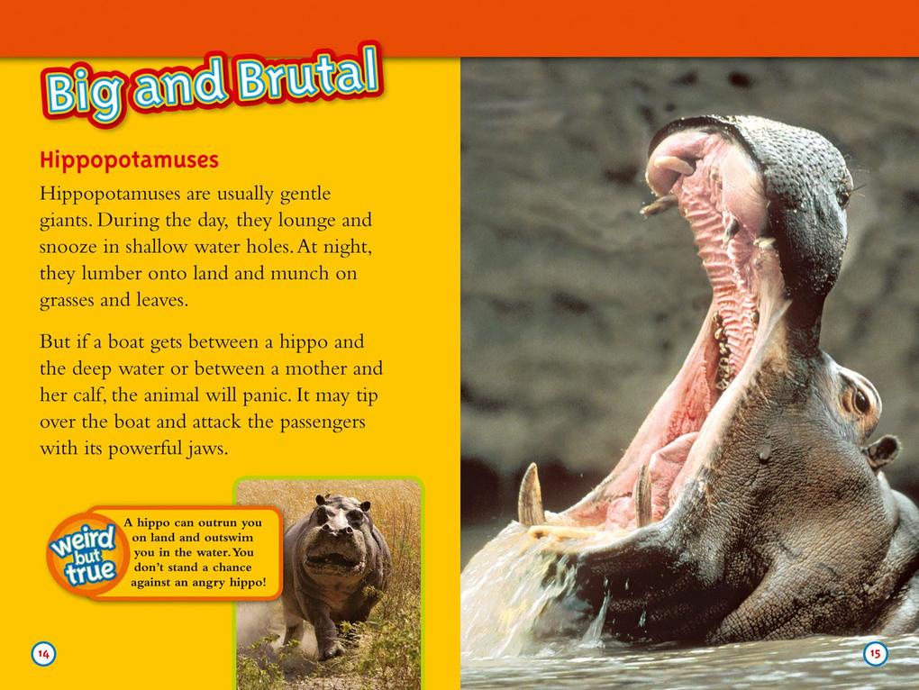 Weitere Ansicht: Deadliest Animals | Melissa Stewart, National Geographic Kids