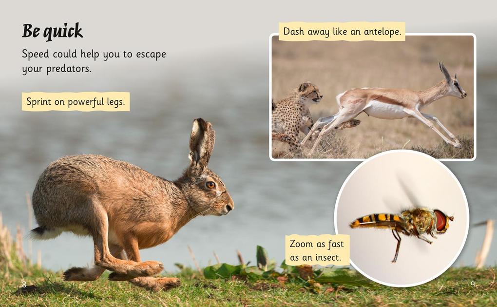 Weitere Ansicht: How Not to Be Eaten | Rob Alcraft