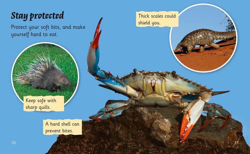 Weitere Ansicht: How Not to Be Eaten | Rob Alcraft