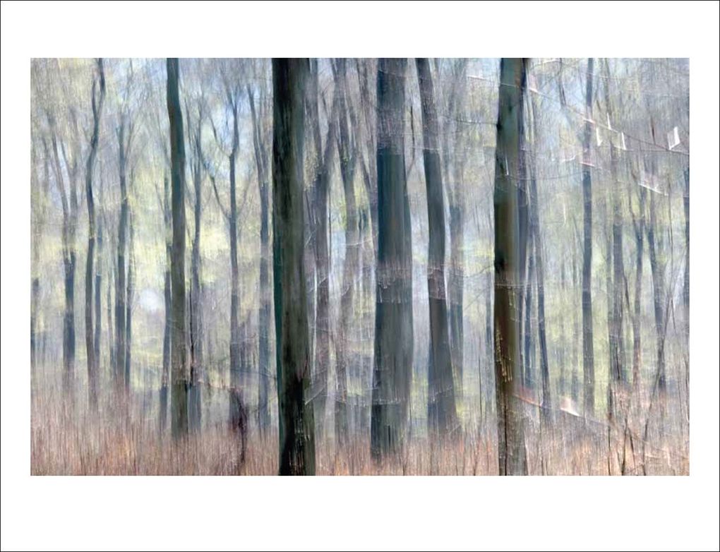 Weitere Ansicht: Das Waldbuch