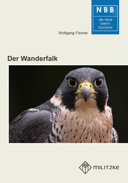Produktbild: Der Wanderfalk | Wolfgang Fischer