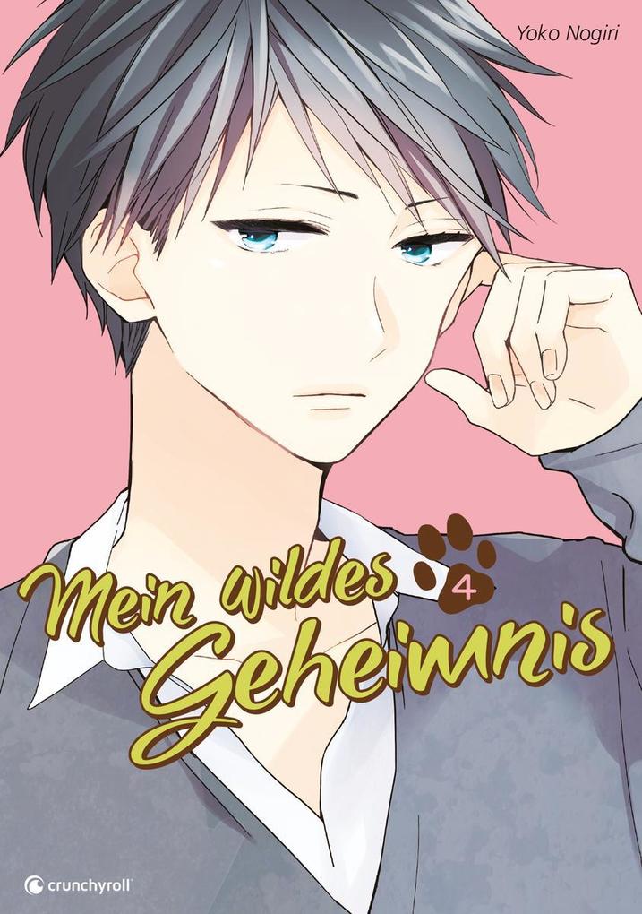 Produktbild: Mein wildes Geheimnis 04 | Yoko Nogiri