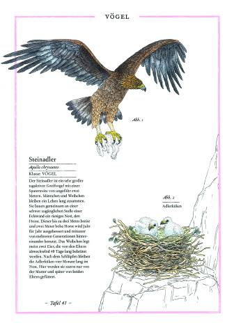 Weitere Ansicht: Steinbock, Adler, Edelweiß | Virginie Aladjidi