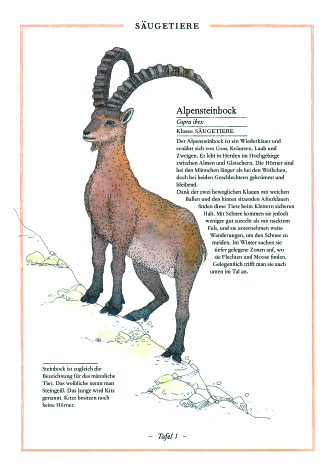 Weitere Ansicht: Steinbock, Adler, Edelweiß | Virginie Aladjidi