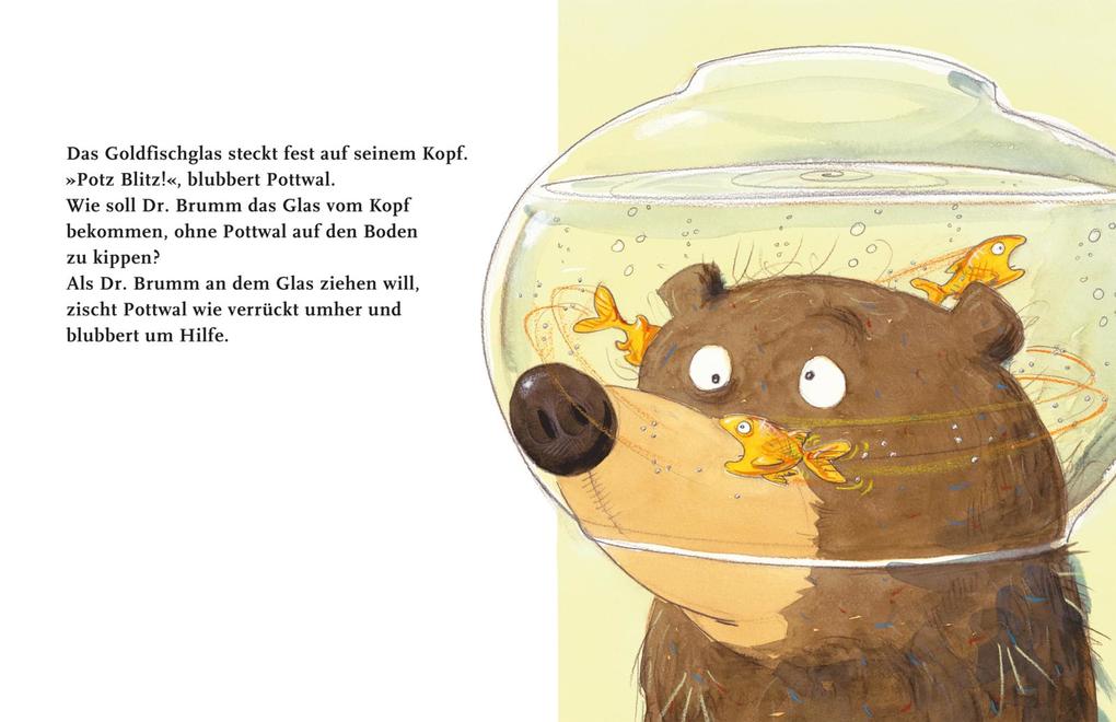 Weitere Ansicht: Dr. Brumm steckt fest | Daniel Napp