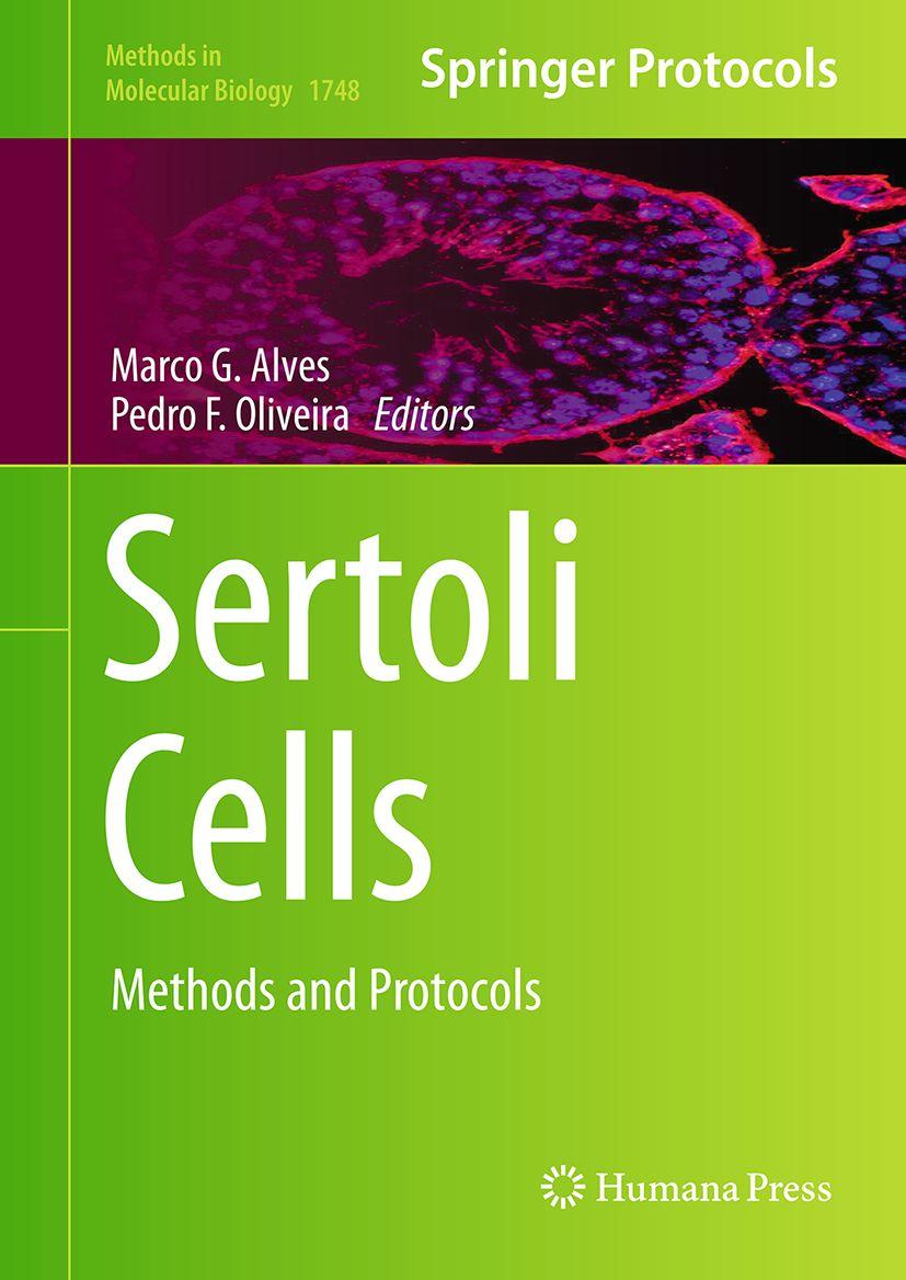 Produktbild: Sertoli Cells