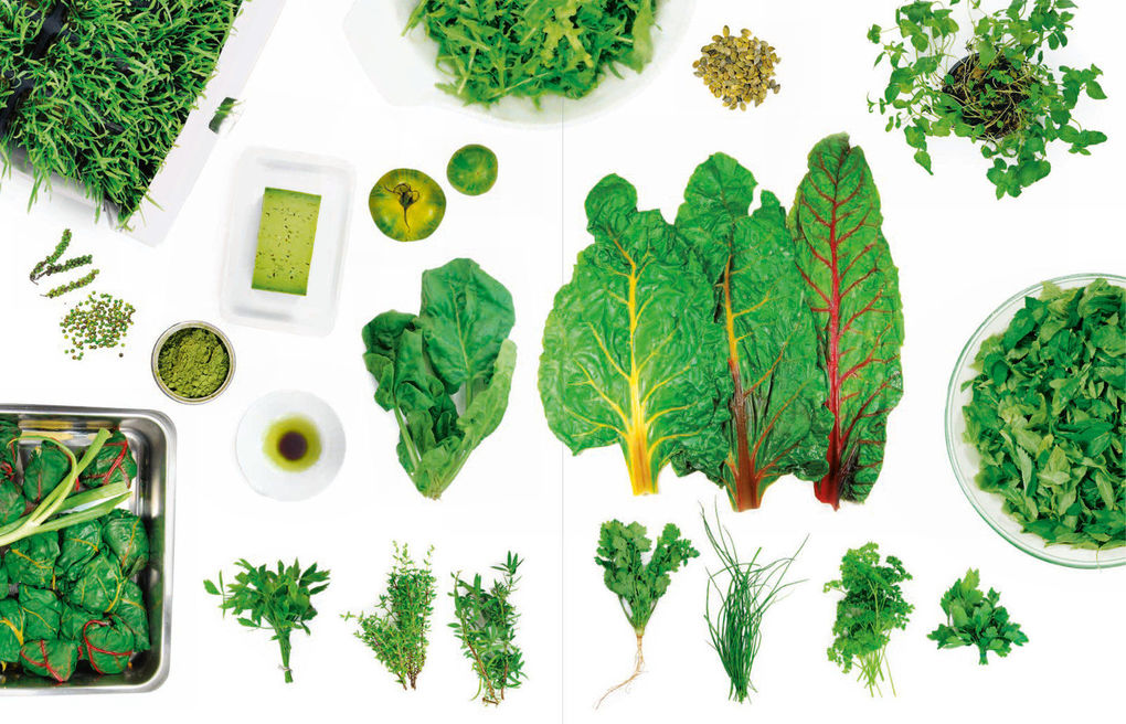 Weitere Ansicht: Kochen nach Farben. 12 Farben - 12 Menüs | Tatjana Reimann, Caro Mantke, Tim Schober