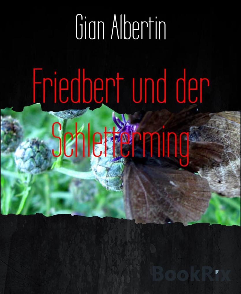 Produktbild: Friedbert und der Schletterming | Gian Albertin